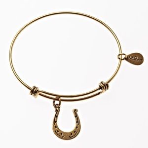Horseshoe Expandable Bangle Charm Bracelet in Gold
